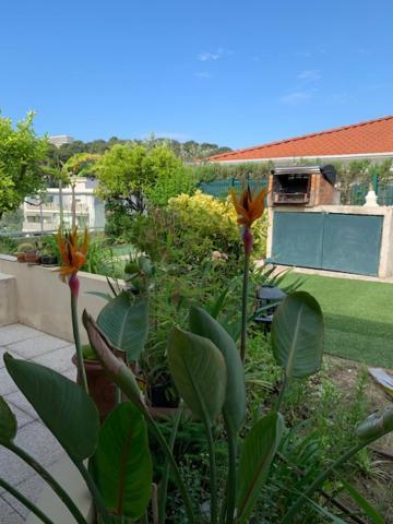 Jardin D'Azur Proche Mer Cagnes-sur-Mer Exterior foto